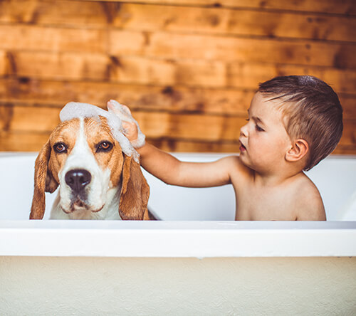Water Heater Company in Somerset, KY